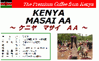 ケニア　マサイ　AA　プレミアムコーヒー　
