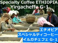 エチオピア・イルガチェフ Grade-1　スペシャルティーコーヒー
